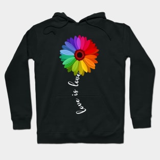 Love Is Love Love Daisy LGBT Rainbow Gay Lesbian Shirt Hoodie